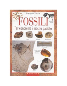 Fossili per conoscere il nostro passato