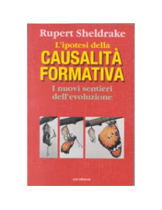 L'ipotesi della causalità formativa