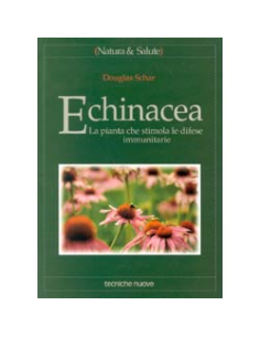 Echinacea