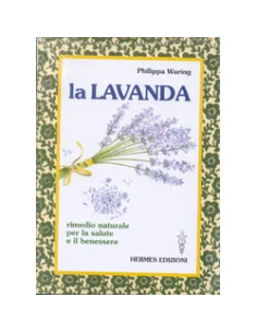 La lavanda, rimedio naturale per il benessere