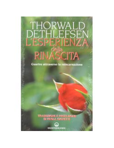 L'Esperienza della Rinascita