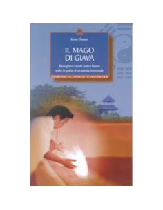 Il mago di Giava