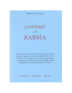 Lavorare sulla Rabbia