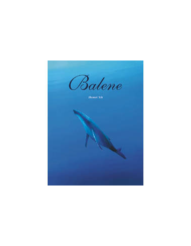 Balene