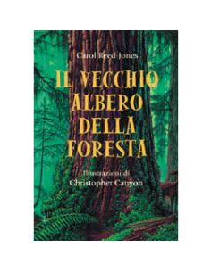 Il vecchio albero della foresta