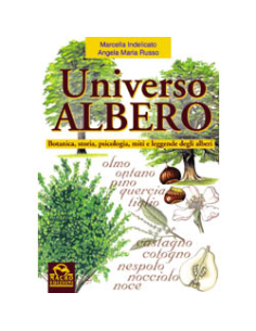 Universo albero
