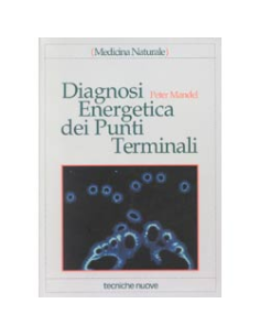 Diagnosi Energetica dei Punti Terminali