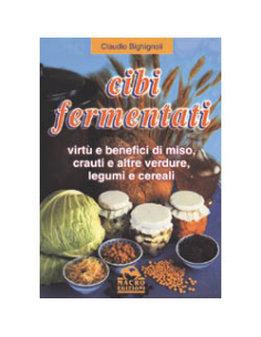 Cibi fermentati