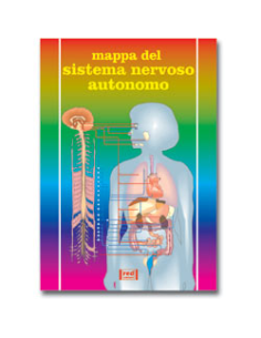 Mappa del sistema nervoso autonomo