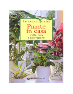 Piante in Casa 