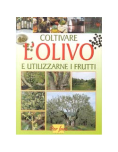 Coltivare l'ulivo