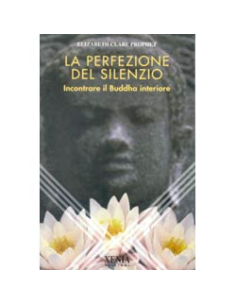 La perfezione del silenzio