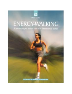 Energy Walking
