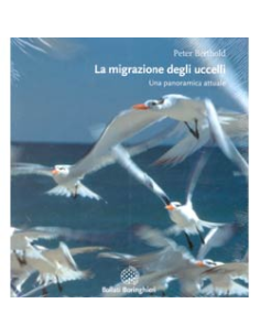 Le Migrazioni degli Uccelli