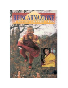Reincarnazione il piccolo grande Lama