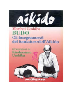 Aikido Budo