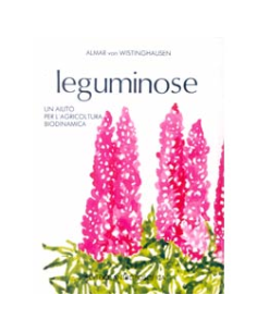 Leguminose