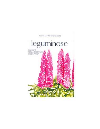 Leguminose