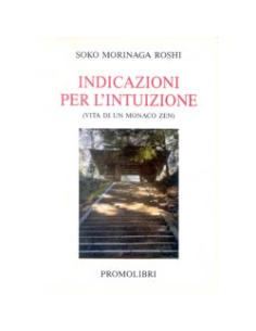 Indicazioni per l'Intuizione