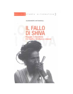 Il fallo di Shiva