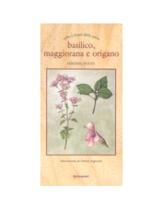 Basilico maggiorana e origano