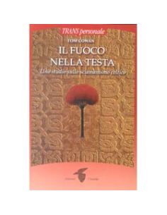 Il fuoco nella testa