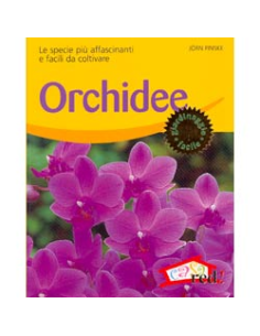 Orchidee