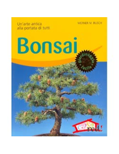 Bonsai