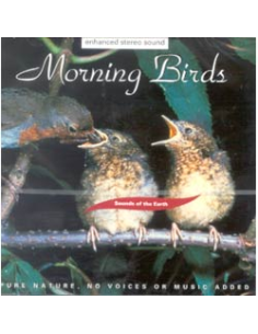 MORNING BIRDS