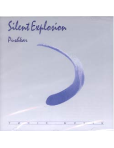 SILENT EXPLOSION