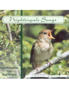 NIGHTINGALE SONGS