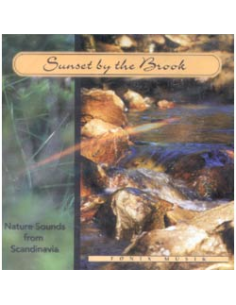 SUNSET BY THE BROOK