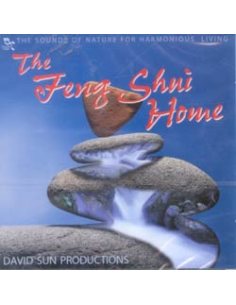 The feng shui home