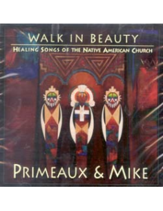 WALK IN BEAUTY: HEALING SONGS