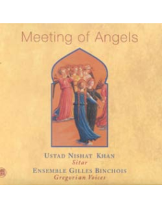 MEETING OF ANGELS