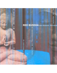SIDDHARTA IN SPACE