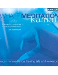 WHALE MEDITATION