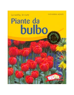 Piante da bulbo