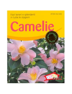 Camelie