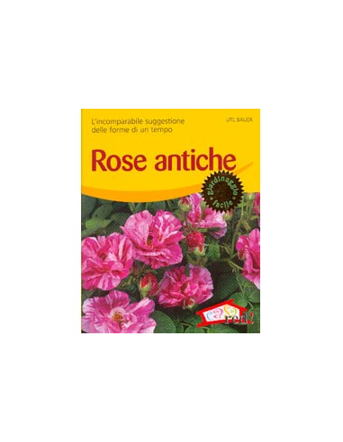 Rose Antiche