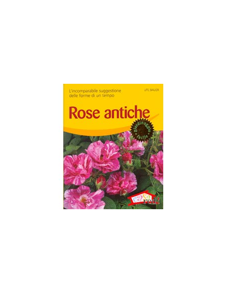 Rose Antiche