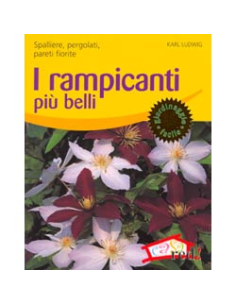 I rampicanti più belli
