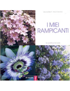 I miei rampicanti