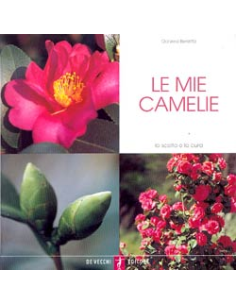 le mie Camelie