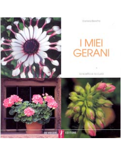 I miei Gerani
