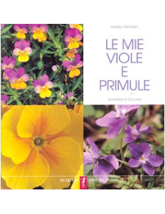 Le mie Viole e Primule