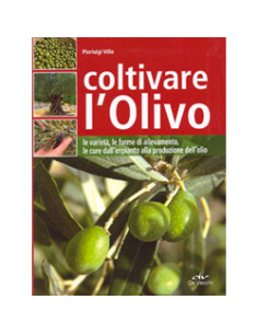 Coltivare l'Olivo 