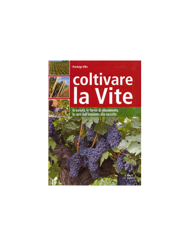 Coltivare la Vite