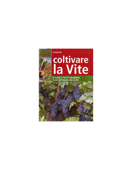 Coltivare la Vite