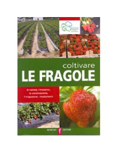 Coltivare le Fragole